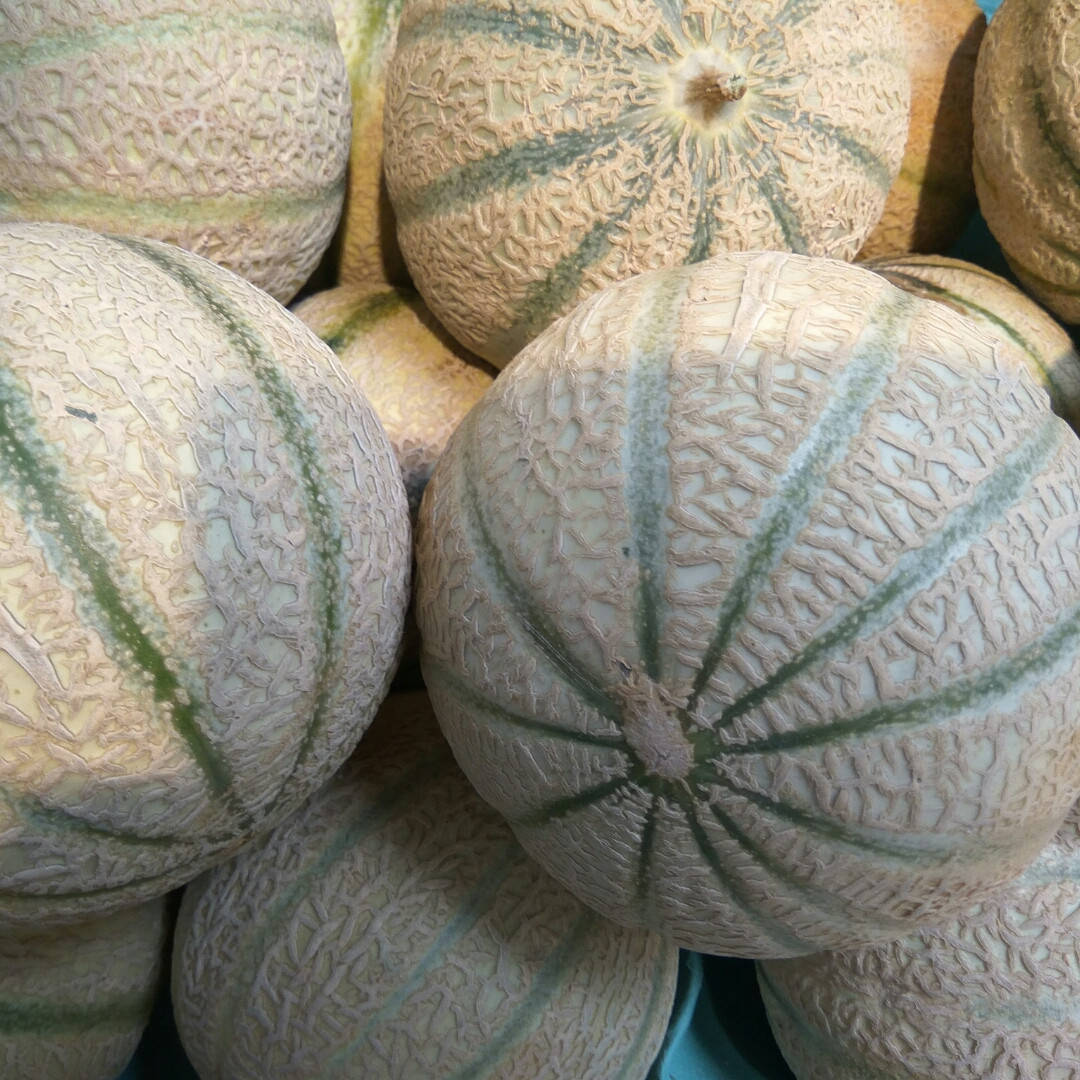 

Дыня Cristel ( Vedrantais)