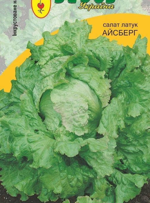 

Семена салата сорт Айсберг 1г инкрустированные