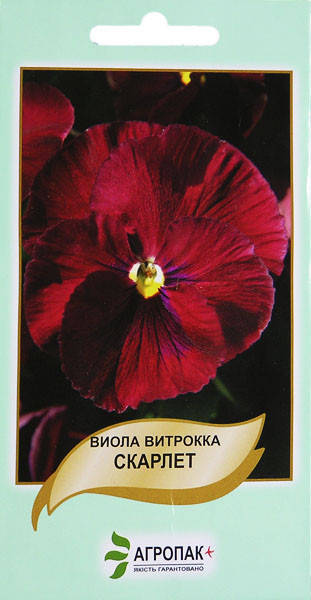 

Семена цветов Виола Витрокка Скарлет 0,1г. Агропак плюс, Красный