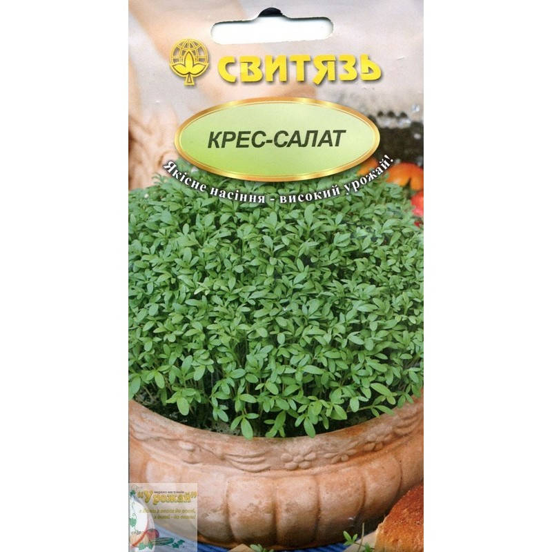 

Семена кресс-салат, 5 г