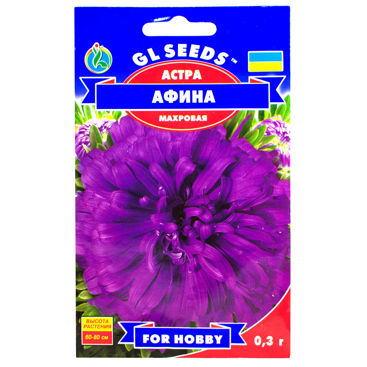 

Астра Афина 0.3 г Gl Seeds, Фиолетовый