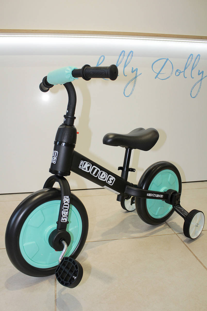 

Велосипед-беговел 2в1 PROFI KIDS М 5452, Бирюза