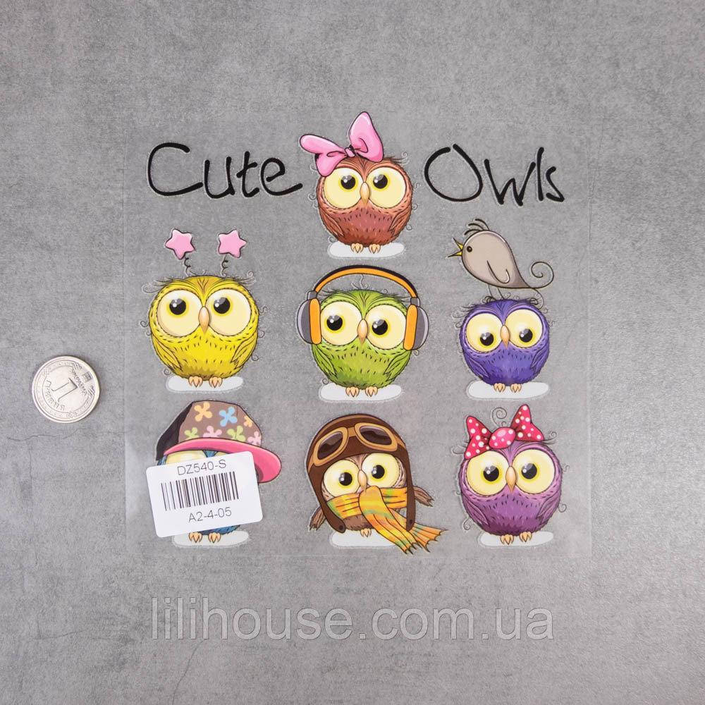 

Термотрансферные Наклейки для Ткани CUTE OWLS