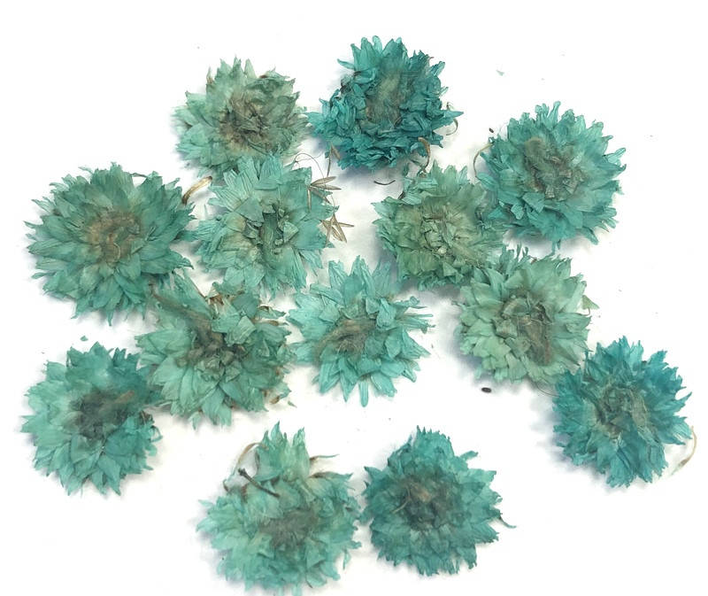 

Сухоцветы №16, Разные цвета