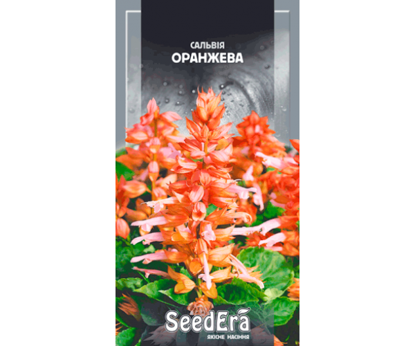 

Семена сальвии Сплендес Оранжевая 0,2г SeedEra
