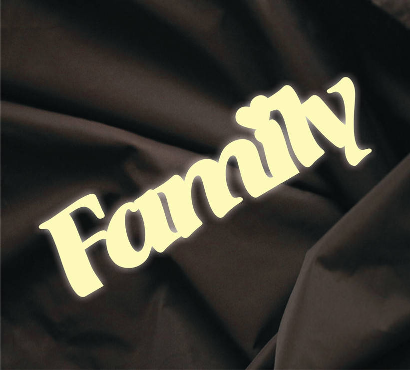 

Объемная надпись Family 2